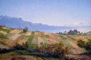 Swiss Landscape